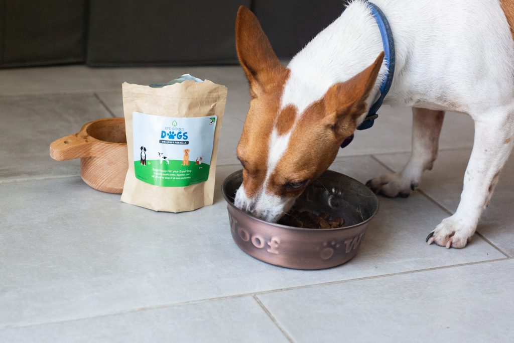 Epi-Genius Dog Supplement - A Peek Inside for High Powered Pets: