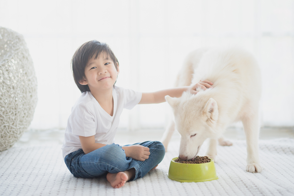 How Pet Ownership Teaches Children Responsibility