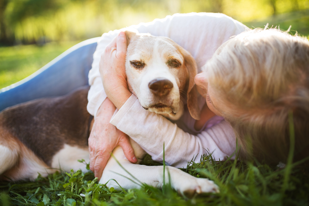 Old Dogs Are Great Pets