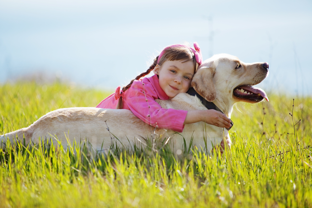 Keeping Your Dog Healthy Through the Ages: Common Health Problems in Dogs