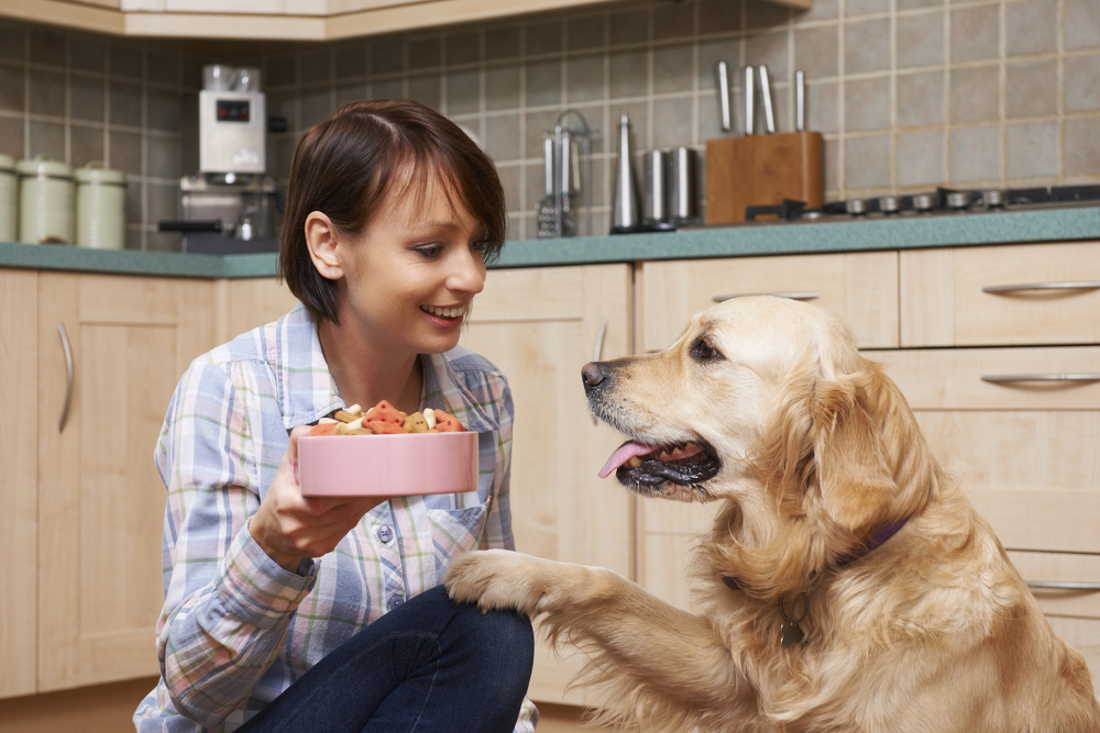 Healthy Eating Habits: Lessons From Our Dogs