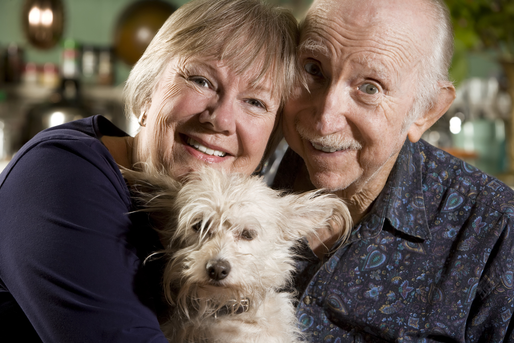 Unconditional Companionship: How Dogs Provide Support for Individuals Diagnosed with Dementia