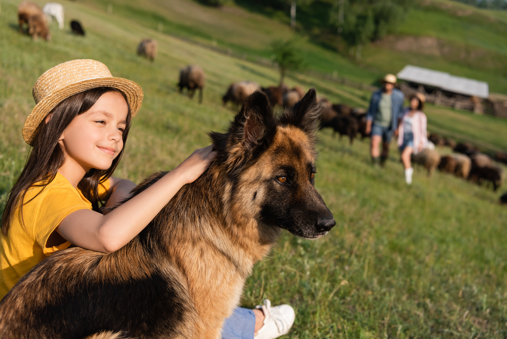 Top 10 Dog Breeds Perfect for Rural Living: Best Companions for Country Life