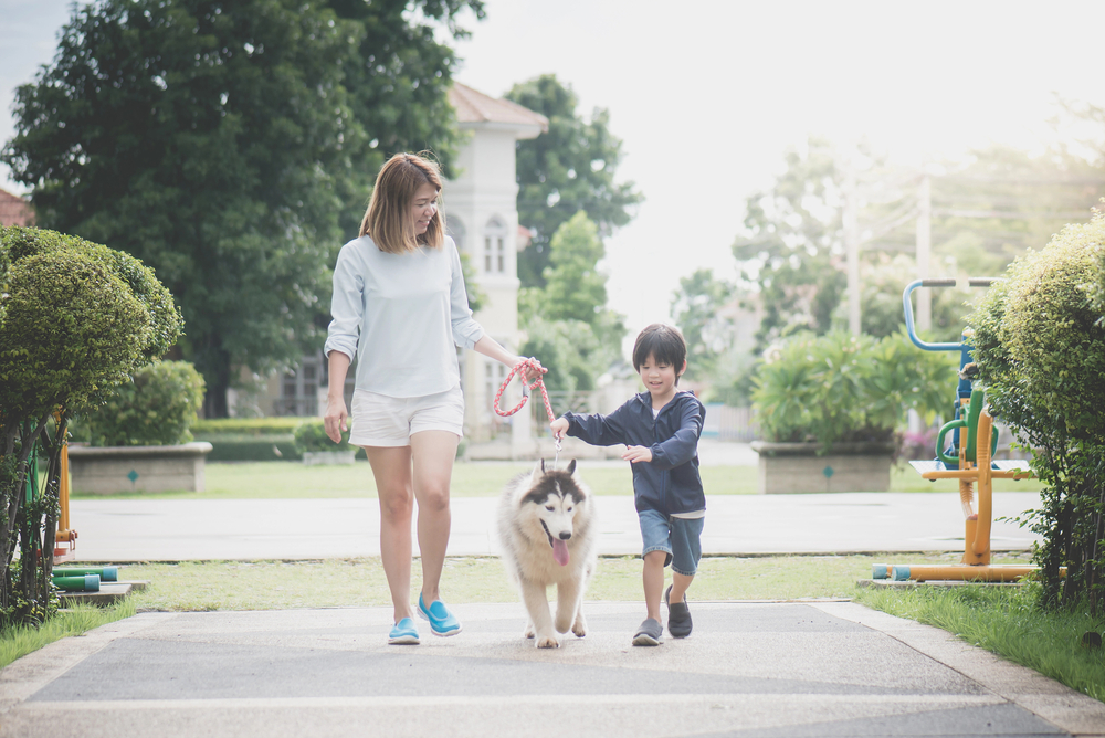 Benefits of Regular Exercise for Dogs: Enhancing Physical, Mental, and Social Well-Being