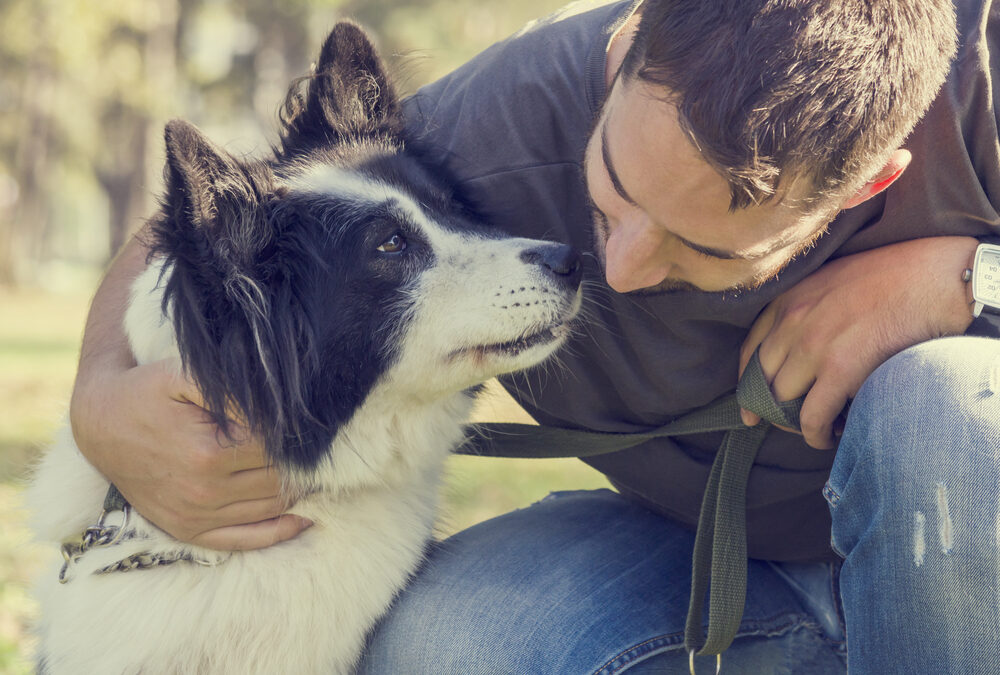 The Importance of Training Your Dog to Walk on a Leash