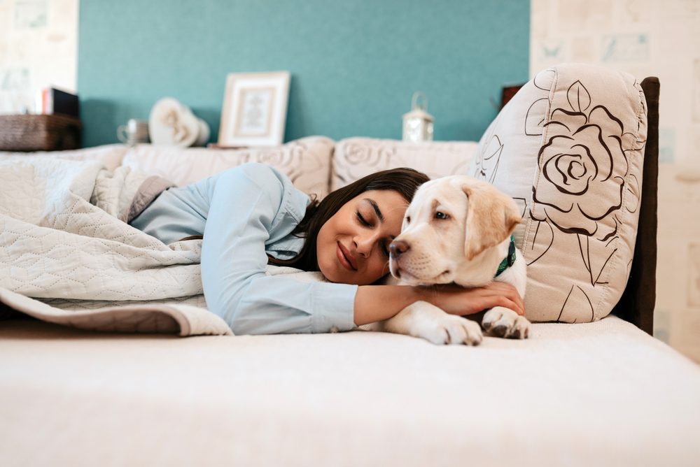 The Benefits and Drawbacks of Sleeping with Your Dog
